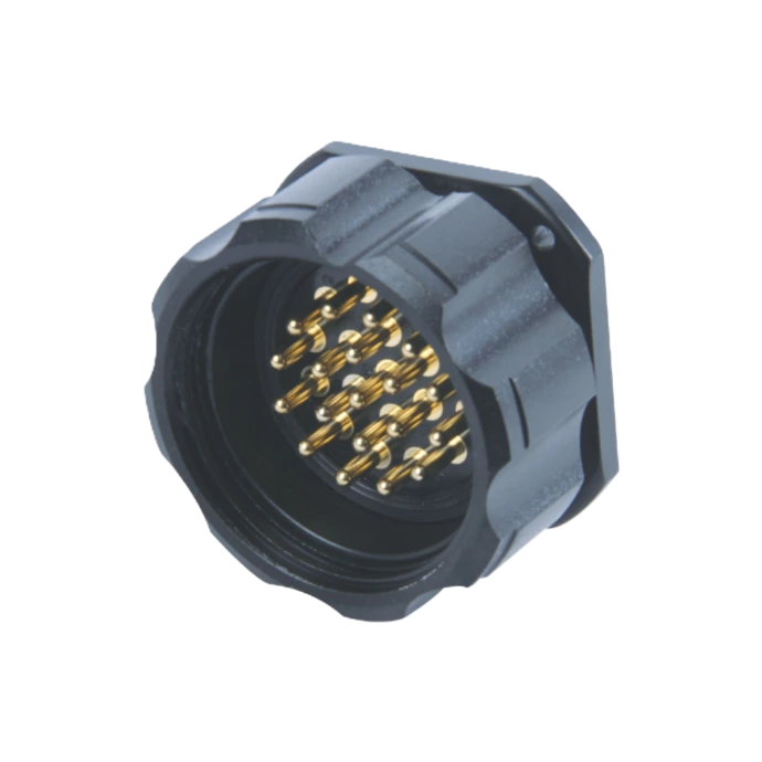 socapex đực